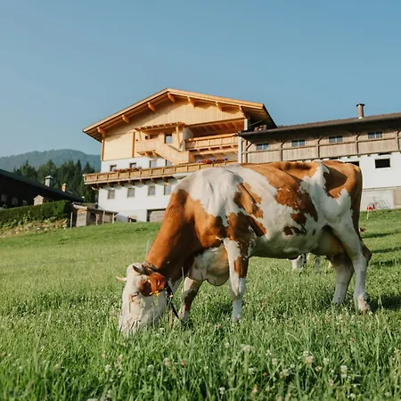 Alojamento de Turismo Rural Hattlerhof
