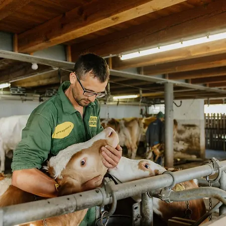 Hattlerhof Farm stay *