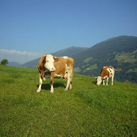 Hattlerhof Farm stay *