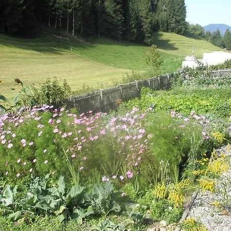 Farm stay Hattlerhof *