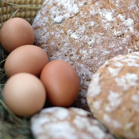 Hattlerhof Gospodarstwo agroturystyczne *