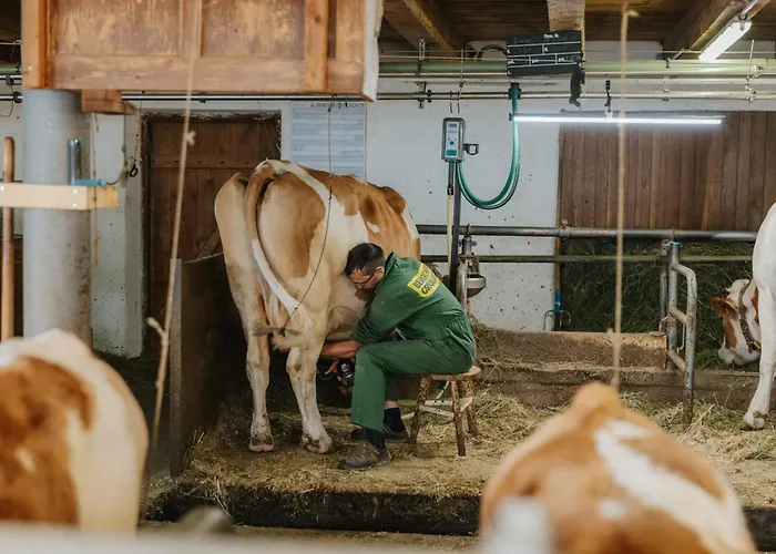 哈特勒霍夫酒店