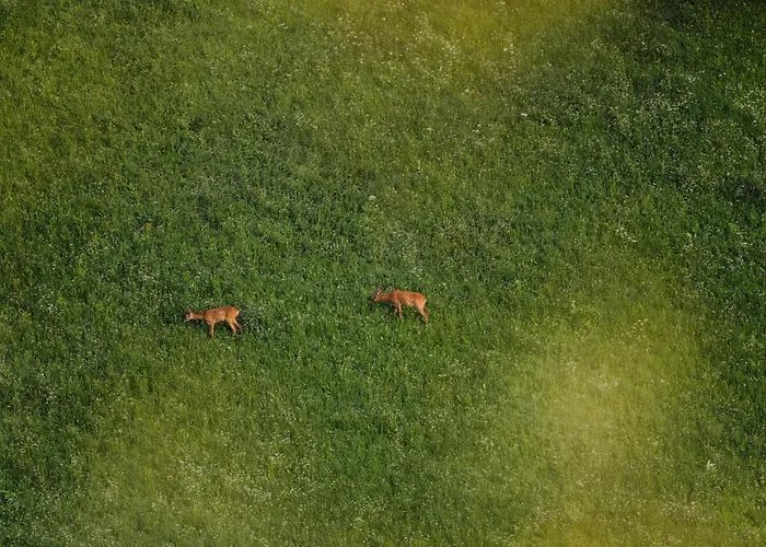 Hattlerhof Alloggio per agriturismo