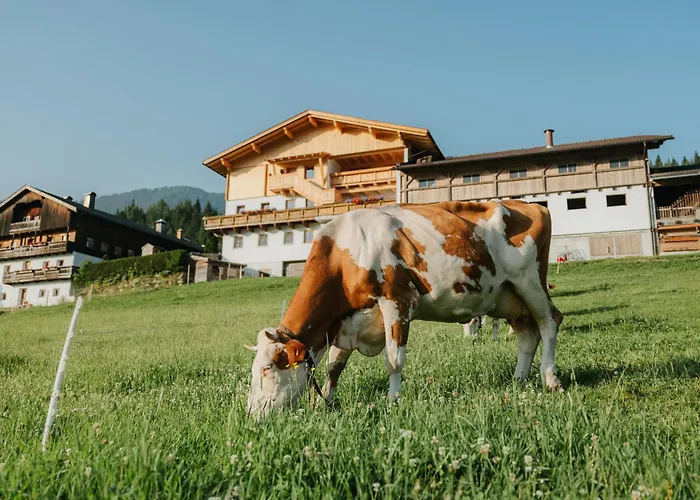 Alloggio per agriturismo Hattlerhof
