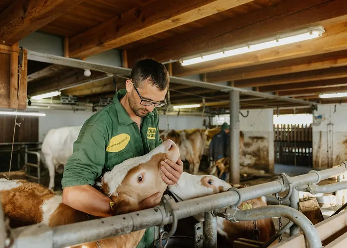 Hattlerhof ファームステイ *