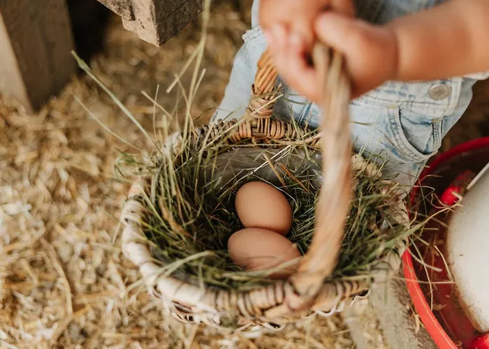 哈特勒霍夫酒店 农家乐 *